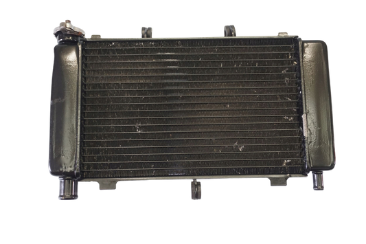 YAMAHA FZ6 FAZER 600 04-09 Wasserkühler Kühler Radiator