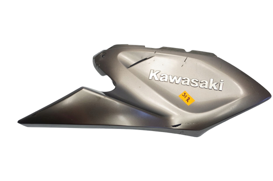 KAWASAKI Z1000 14-19 Tankabdeckung Tank Cover Tankverkleidung 1