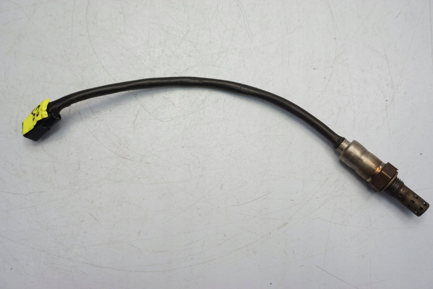 TRIUMPH BONNEVILLE T120 16-20 Lambdasonde O2 Sensor Sonde Sonda Lambda