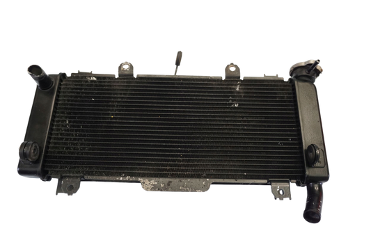 KAWASAKI Z 650 17-19 Wasserkühler Kühler Radiator 1